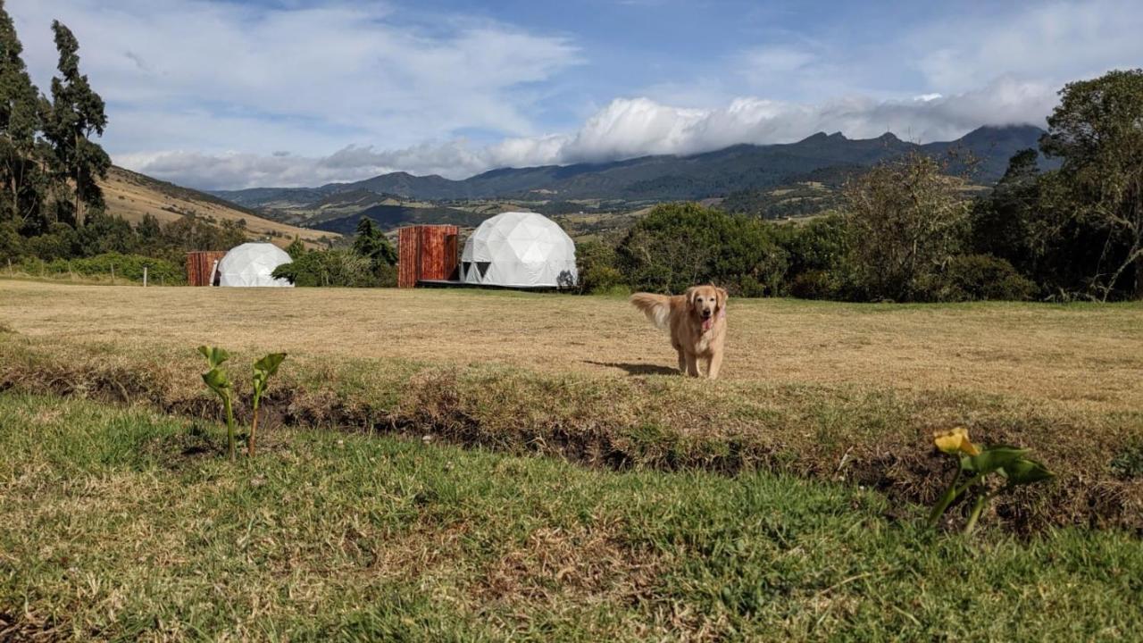 La Meca Glamping Hotel Guasca Kültér fotó